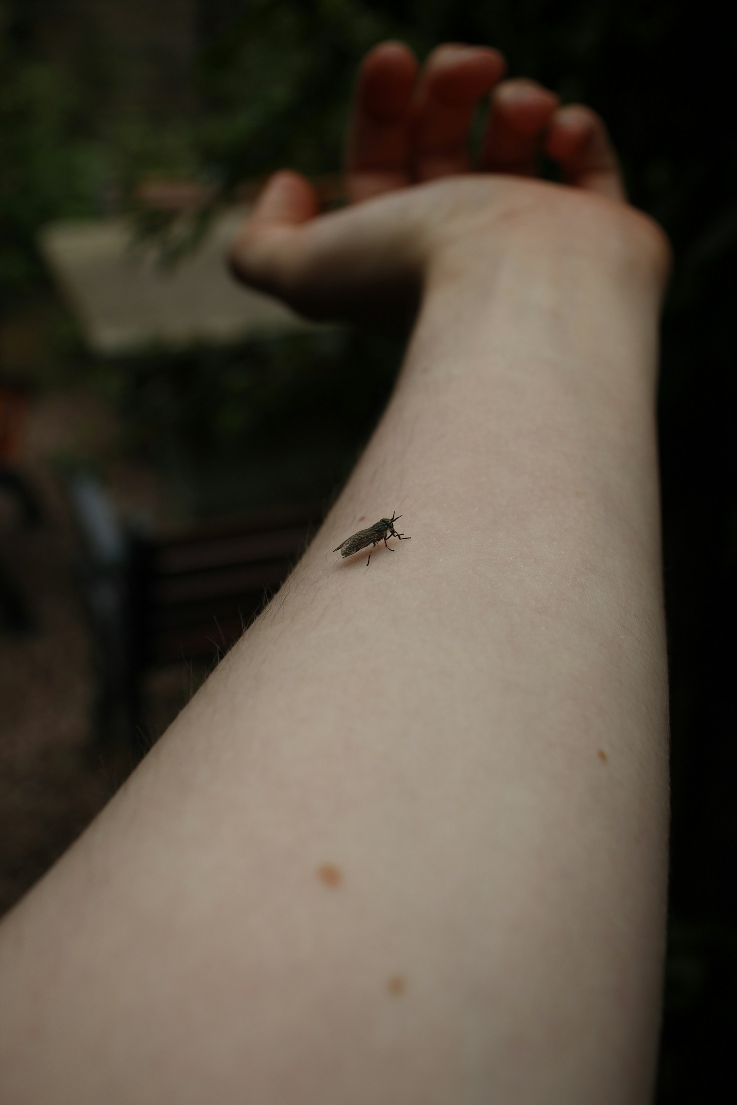 Top 5 Reasons To Choose DIY Pest Control